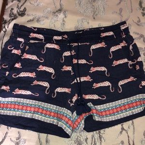 Ann Taylor Loft Shorts
